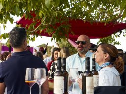 Festival Mar de Tethys 2026 - Bodega Vetas